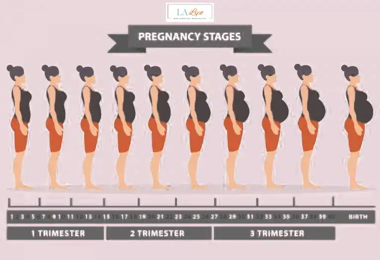First Trimester (Weeks 1–12): Early Changes You Might Not Notice Northwich